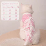 494fe33383e0792b5203e438d5141a77