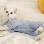 511696182ebdedfb66b6d5c5bafeb3ec