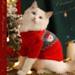 O1CN013BXV3w2IOSteTRUnR_!!973159276-0-cib