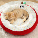 O1CN018DbZDb1qzjzg02qy0_!!1049355567-0-cib