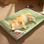 O1CN01MbsOz61qzjkGqwgfE_!!1049355567-0-cib