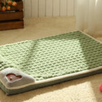 O1CN01Oymod71qzjg2n5d90_!!1049355567-0-cib