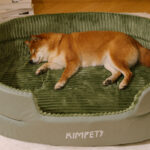 O1CN01RKGyjO1qzjm4hXktS_!!1049355567-0-cib