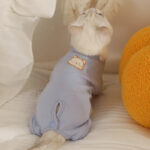 O1CN01SsTtyB2IOSgbkbT2Q_!!973159276-0-cib