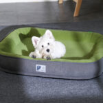 O1CN01UbRS071qzjm3f1ZNs_!!1049355567-0-cib