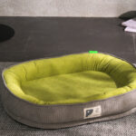 O1CN01bNQ0YO1qzjuElhbpg_!!1049355567-0-cib