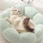 O1CN01bT2DQ71qzjzqJrn84_!!1049355567-0-cib