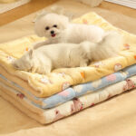 O1CN01nd2kQR1qzjn2HpN0B_!!1049355567-0-cib