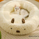 O1CN01qHblCA1qzjm7nwTsy_!!1049355567-0-cib