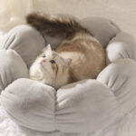 O1CN01r7BaC61qzjzlbpN8U_!!1049355567-0-cib