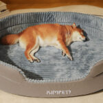 O1CN01vrvYM61qzjm9X08G2_!!1049355567-0-cib