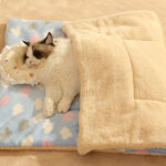 O1CN01vsn0w81qzju04GXYR_!!1049355567-0-cib