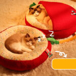 O1CN01ygwRqw1qzjzg00ZTr_!!1049355567-0-cib